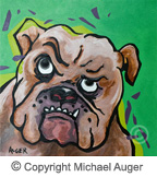 bulldog