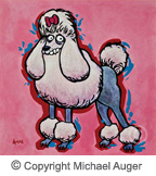 poodle