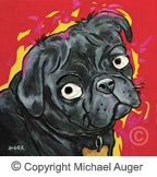 pug