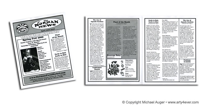 Newsletter Layout Design